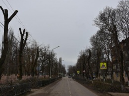 По «следам» Крымской столицы: В Красноперекопске обрезают деревья