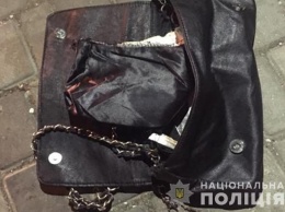 В Запорожской области мужчина вырвал сумку у пенсионерки и скрылся на иномарке