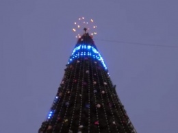 В Борисполе нетрезвый мужчина попытался "покорить" главную елку города. Видео