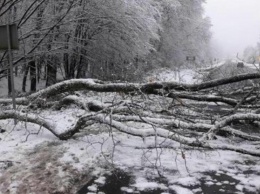 На Закарпатье из-за снегопада без электричества остались 35 населенных пунктов
