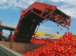Николаевский производитель томатной пасты отказался от строительства завода на Херсонщине