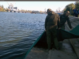 За год в водоемы Украины выпустили более 41 млн рыб: на Николаевщине более 2 млн