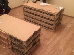 В Борисполе задержали ящики с живым товаром