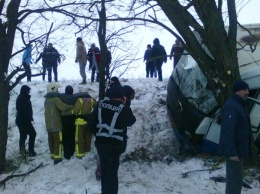 На Херсонщине расследуют ДТП с пострадавшими: автобус с пассажирами въехал в дерево