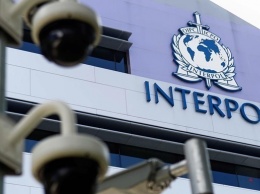 В аэропорту Борисполь задержали иностранца из базы Интерпола