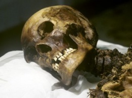 Полиция нашла мать, скелет сына которой обнаружили в житомирском лесу
