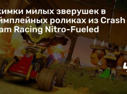 Ужимки милых зверушек в геймплейных роликах из Crash Team Racing Nitro-Fueled