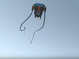 В небе над запорожским курортом парил гигантский кальмар - видео