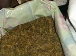 Правоохранители изъяли у 47-летней жительницы Херсонщины 1,5 килограмма конопли