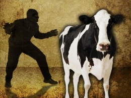 На Херсонщине осужден похититель крупного рогатого скота