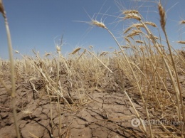 Катастрофическая засуха в Крыму обострилась: оккупанты положили глаз на реки