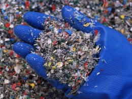 Красную дорожку сделали из мусора в Берлине: потратили тонны отходов