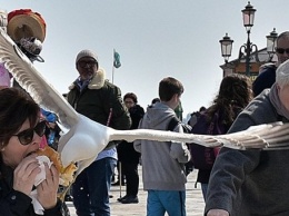 В Венеции чайки начали нападать на туристов