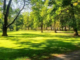 В Павлограде официальные названия и статусы присвоили трем парками и скверу