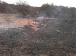 На Николаевщине произошел пожар на открытой территории площадью 1,2 га