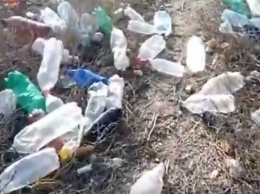 Куротный поселок в Запорожской области забросали мусором (ВИДЕО)