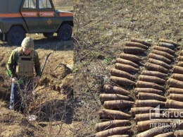 Более 50 боеприпасов уничтожили под Кривым Рогом спасатели