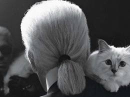 Карл Лагерфельд завещал смешать его прах с прахом любимой кошки