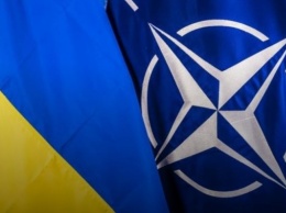 Эксперты НАТО рассказали об уязвимых местах в украинской оборонной структуре
