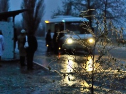 Аномальный ветер во Львовской области: 19 населенных пунктов остались без света, объявлено штормовое предупреждение