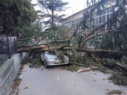 По Крыму пронесся ураган - масштабные отключения света и поваленные деревья
