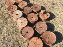 В Волынской области на огороде выкопали 14 противотанковых мин