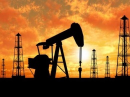 Компания Ахметова на 20 лет купила право добывать нефть и газ в Харьковской области