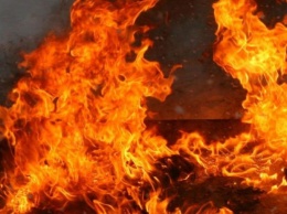 Облили горючим и подожгли: в Одессе устроили расправу над депутатом