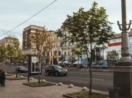 В Киеве высадят сакуру и каштаны Бриоти за 24,7 миллионов