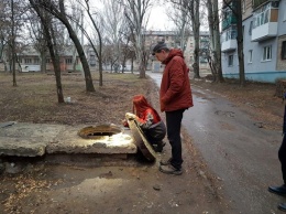 Киевские волонтеры поехали на Донбасс спасать собаку