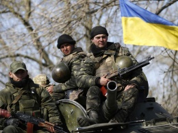 День украинского добровольца 14 марта: история нового праздника