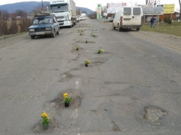 В Закарпатье к приезду Порошенко украсили ямы на дорогах цветами (ФОТО)