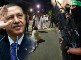 Чья бы корова мычала?: Эрдоган может быть причастен к теракту в Новой Зеландии - скрывается правда?