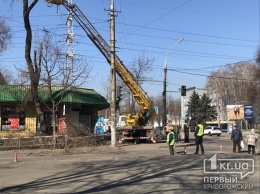 Из-за обрезки деревьев на одной из улиц Кривого Рога временно ограничили движение транспорта