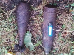 Прогуливаясь у реки, павлоградец нашел три мины