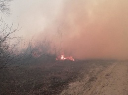 Масштабный пожар в Одесской области (ФОТО)