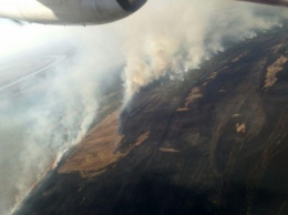 В Одесской обл. на территории лесничества вспыхнул масштабный пожар, к тушению привлечена авиация