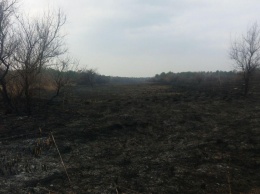 Опасность сохраняется: в Дунайском биосферном заповеднике продолжает тлеть подожженный лес