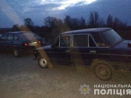 В Запорожской области пьяный водитель угодил в аварию на угнанном авто