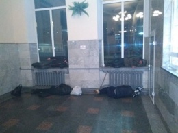 Спят на подоконниках и справляют нужду на глазах у людей. Под Харьковом сложилась вопиющая ситуация (фото)