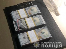 Полиция задержала на взятке в почти 1 млн грн сельского голову в Житомирской области