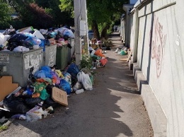 Аксенов поручил найти "потерявшуюся" в мусоре улицу в Евпатории