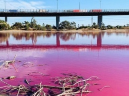 В Австралии появилось озеро с розовой водой (видео)