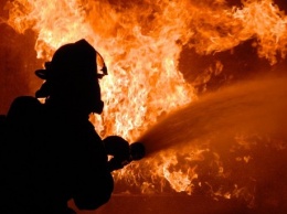 Поздно вызвали пожарных: в Житомирской области сгорел деревообрабатывающий цех