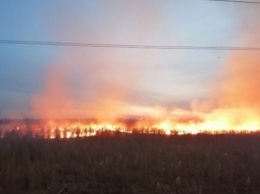 На выходных на Киевщине трава и мусор горели более 170 раз, в одном из пожаров погиб человек