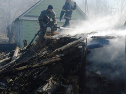 В Житомирской области пожар сухостоя едва не уничтожил село