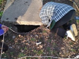 В городе на Харьковщине женщина внезапно стала на колени посреди улицы
