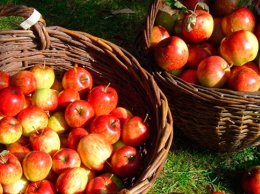Неприятный сюрприз ожидает харьковчан: дешевые фрукты взлетят в цене