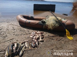На Полтавщине орудовали рыбные браконьеры (фото)