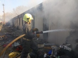 Спасатели ликвидировали масштабный пожар на Дарнице и показали его последствия (фото)